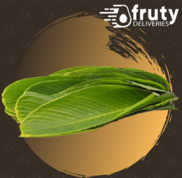 Hoja de Bijao