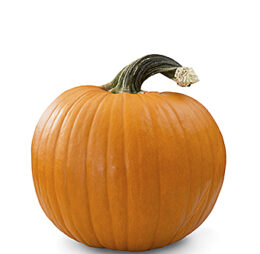 Calabaza de Halloween
