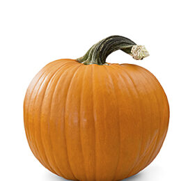 Calabaza de Halloween
